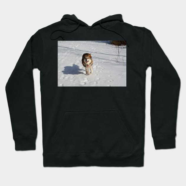 Running Free Hoodie by rconyard